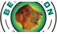 BERRYLIONS