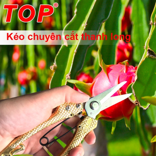 Kéo Cắt Thanh Long 8” Cán Vảy Cá Màu Vàng TOP