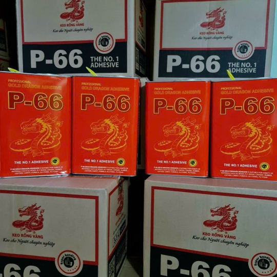 Keo Rồng Vàng P66 